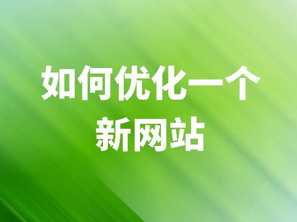 如何優(yōu)化一個(gè)新網(wǎng)站